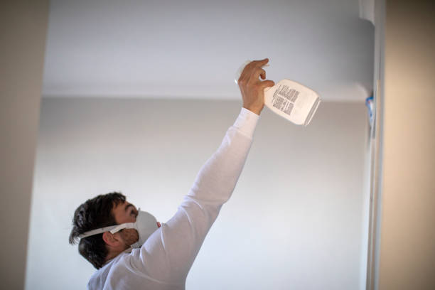 Best Insurance-Related Mold Remediation in West Milwaukee, WI